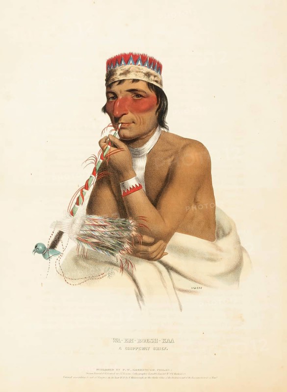 Wa-Em-Boesh-Kaa. A Chippeway Chief (1838), Native American, Historical Indian Tribes of North America, Charles Bird King (1785, 1862), Historical, digitally restored reproduction from a 19th century original, Record date not stated