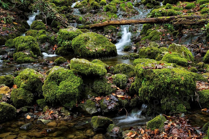 Urach waterfall, small waterfall over mossy rocks in a forest full of autumn leaves, Kleine Ohe, stream in the forest between rocks covered with moss, Bavarian Forest National Park, Bavaria, Germany, A small watercourse snakes through mossy rocks in autumn forest, conveys peace and serenity, Kleine Ohe, stream in the forest between rocks covered with moss, autumn, Bad Urach, Maisental, Germany