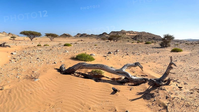 Barren landscape near Duqm, Oman