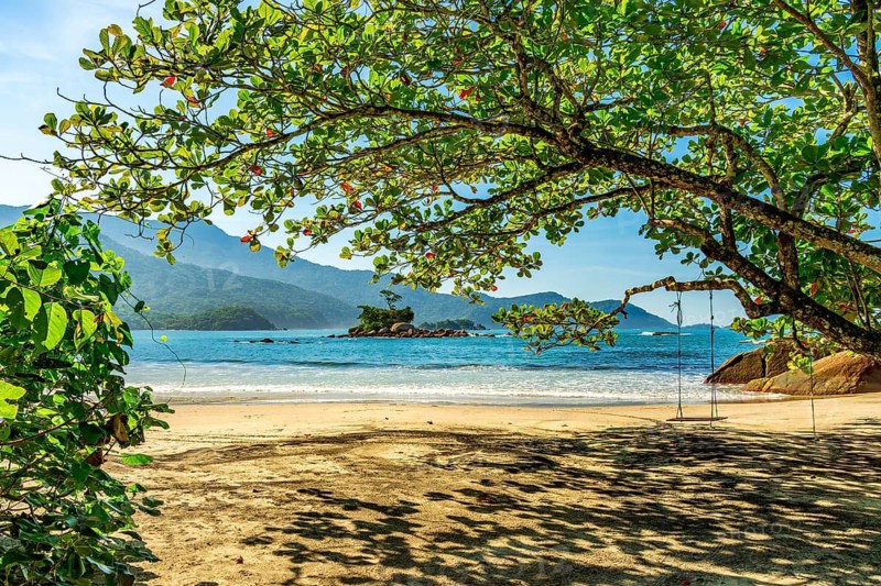 Swing hanging from a tree on the remote and deserted Bonete beach on the island of Ilhabela on the north coast of Sao Paulo, Ilhabela, Sao Paulo, Brazil