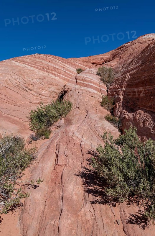 Layered rock formations along the Fire Wave Trail at Valley of Fire State Park near Overton, Nevada