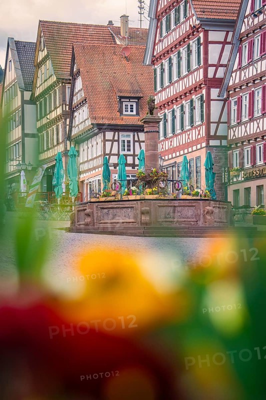 Half-timbered facades and a fountain with colorful flowers in the foreground create a picturesque atmosphere, Calw, Black Forest, Germany