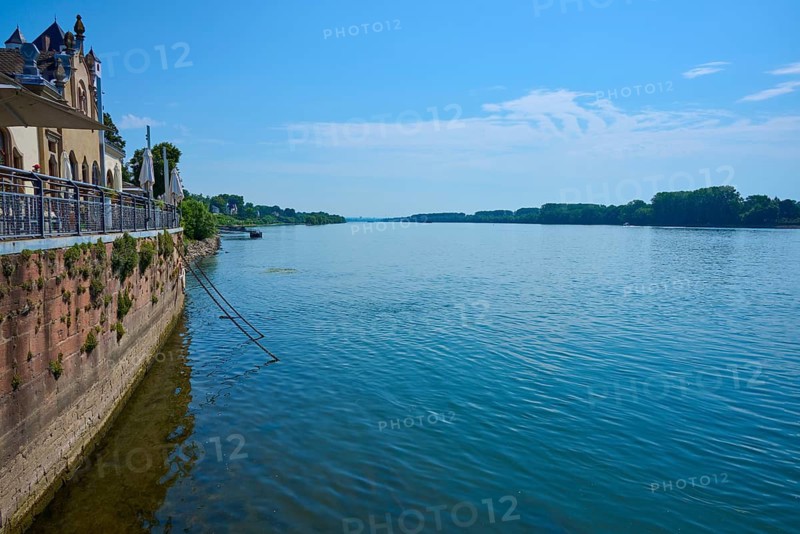 River view next to a building with railings and wide sky, Rhine, Eltville am Rhein, Rheingau, Hesse, Germany