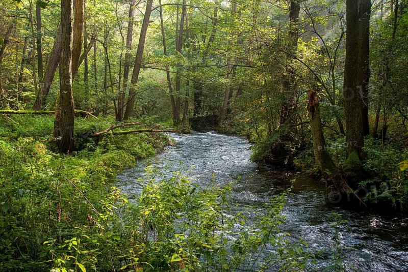 Germany, Greiz, Thuringia, Weidatal, stream, flowing water, river, landscape, river, river