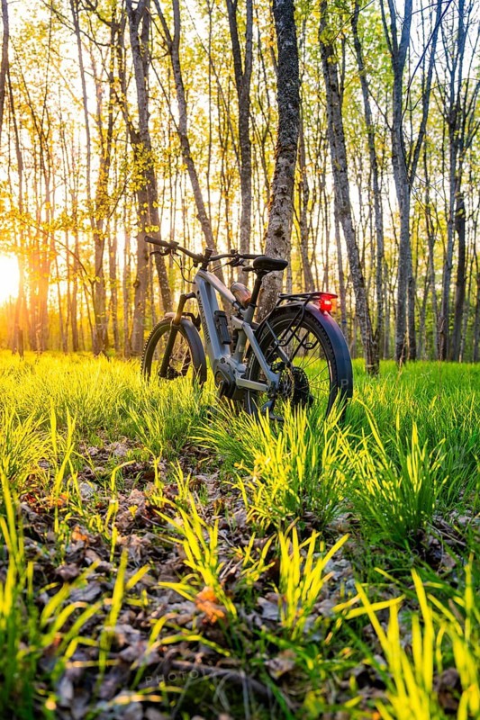 An e-bike is standing on a wooded path, illuminated by low sun, surrounded by grasses, e-bike, Gechingen, Heckengäu region, Germany