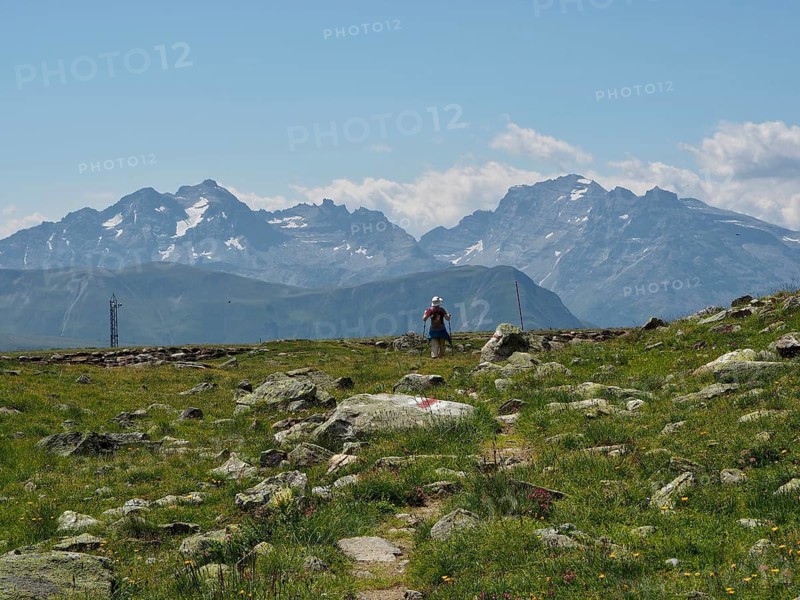 A female hiker on a trail with a view of snow-capped peaks and green meadows, Bellwald, Goms, Canton of Valais, Switzerland