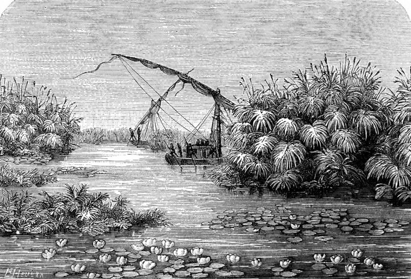 The White Nile in the tropics, blooming water lilies, ferns, nature, rich vegetation, Sudan, sailing boats, dhow, colonial times, historical illustration 1886
