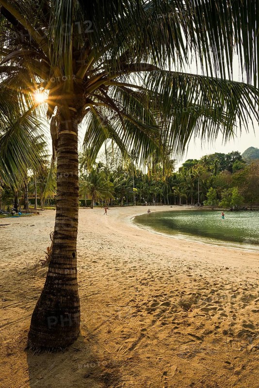 Picturesque beach with coconut palms and huts, sunset, Klong Son Beach, Ko Chang, Koh Chang, Mu Ko Chang National Park, Trat, Thailand