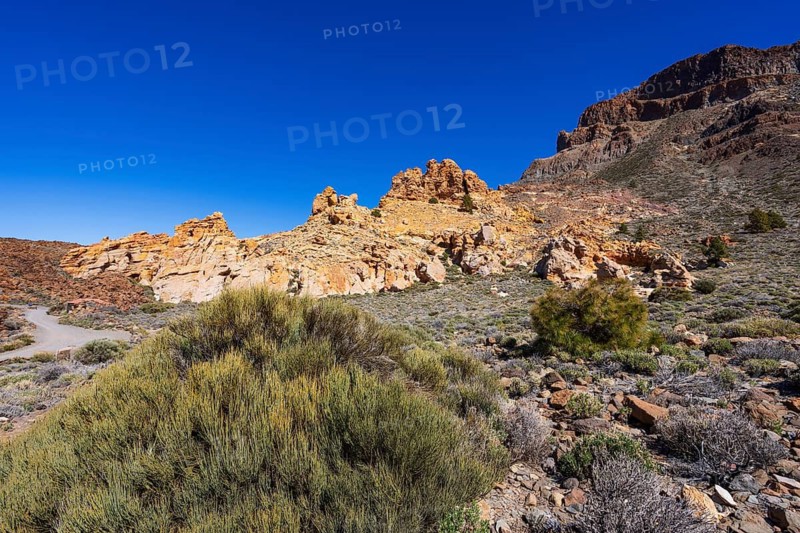 Hiking on the Montana Guajara, rock formation Canada del Capricho, shrub Ephedra, Teide National Park, Tenerife, Canary Islands, Spain