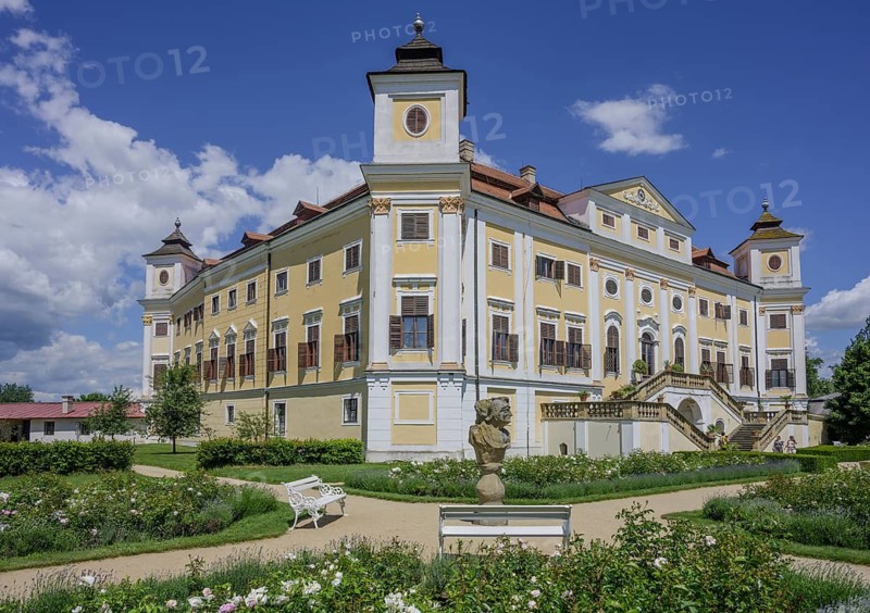 Rose bed and castle, Milotice u Kyjova, South Moravian Region, Czech Republic