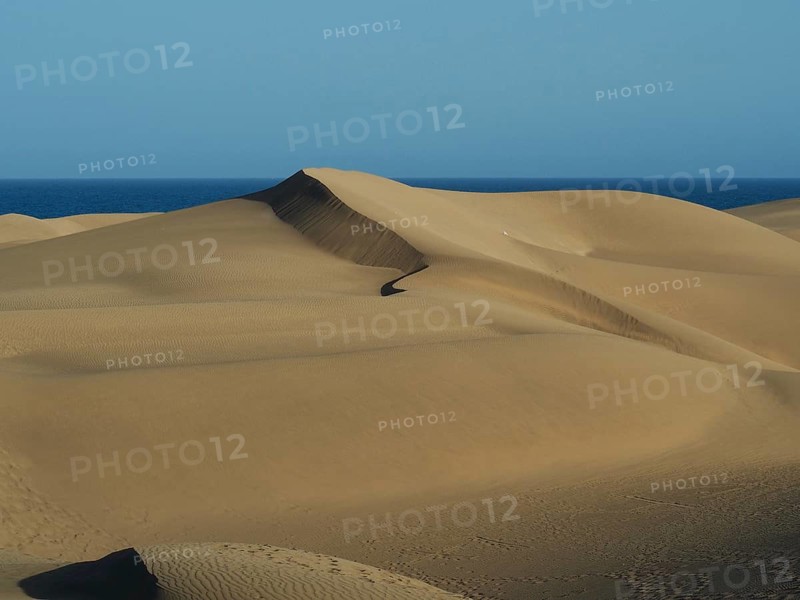 Wide sand dunes stretch to the blue sea under clear skies, dunes of Maspalomas, Gran Canaria, Spain