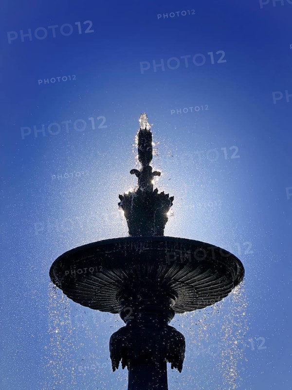 Fonte dos Leões by artist Emmanuel Fremiet, lion fountain in backlight, historic landmark, detail, old town, Porto, Portugal