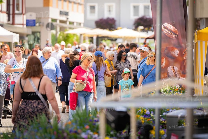 Crowded street market with lots of people, sunny weather, and a coffee banner surrounded by flowers and trees, garden fair and ceramics, Nagold, Black Forest, Germany