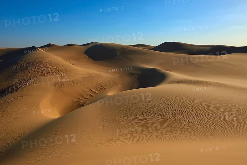 Gentle sand dunes in a vast desert landscape under a clear blue sky, Matruh, Great Sand Sea, Libyan Desert, Sahara, Egypt, North Africa