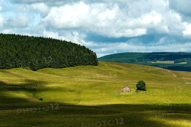 Farm in Cezallier massif, Regional Nature Park of Volcans d'Auvergne, Puy de Dome department, France