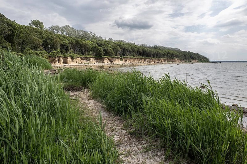 Steep coast, Poel Island, Mecklenburg-Western Pomerania, Germany