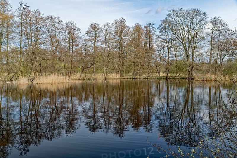 Nameless pond on the course of the Schaale around the Zarrentin moor adventure trail in the Schaalsee UNESCO Biosphere Reserve. Zarrentin, Mecklenburg-Western Pomerania, Germany