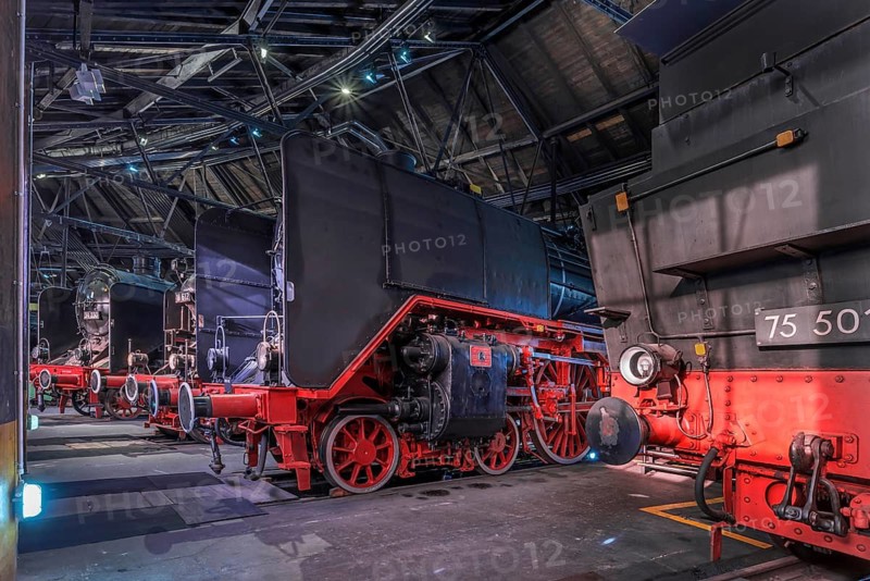 Steam locomotives in the Ringlokschuppen, German Steam Locomotive Museum, Neuenmarkt, Upper Franconia, Bavaria, Germany