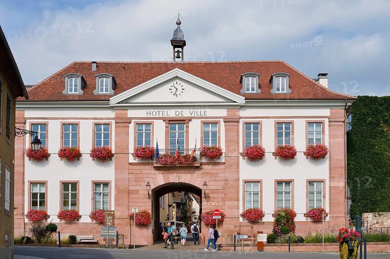 Town hall with flowering geraniums (Pelargonium) in the windows, Hôtel de Ville, Riquewihr, Haut-Rhin, Alsace, Grand Est, France