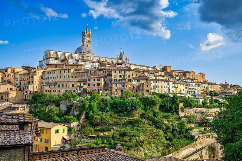 View of old town centre with cathedral, Siena, Tuscany, Italy
