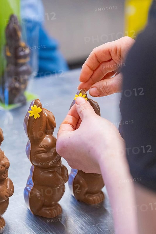 Person decorating chocolate bunnies with small yellow flowers, Easter baking and chocolate icing at Haselstaller Hof, Gechingen, Black Forest, Germany