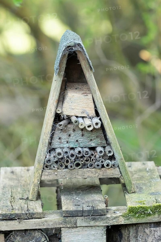 Wooden insect bug bee hotel house, England, United Kingdom