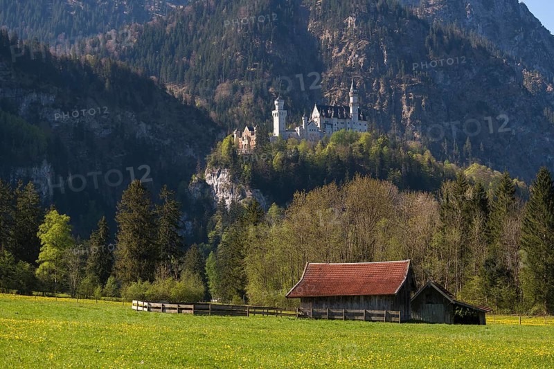 A hut stands in a meadow in picturesque natural surroundings, with an impressive castle in the mountains in the background, Neuschwanstein, Schwangau near Füssen, Ostallgäu district, Swabia, Bavaria, Germany