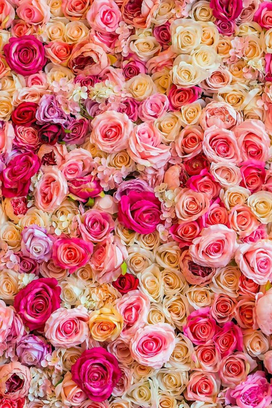 Texture of coloured flowers and roses as decoration, background, Valentine's Day, romantic, close up, celebration