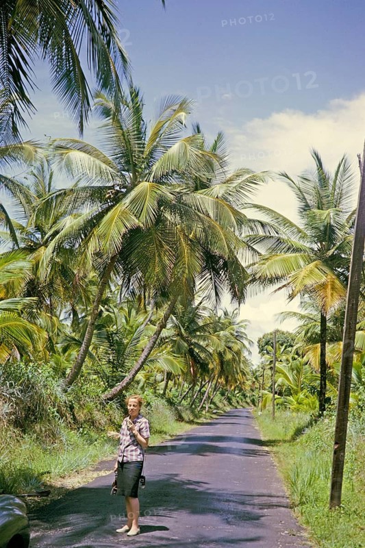 Woman standing on tarmac road through palm tree plantation, east cost road, Tridid 1963