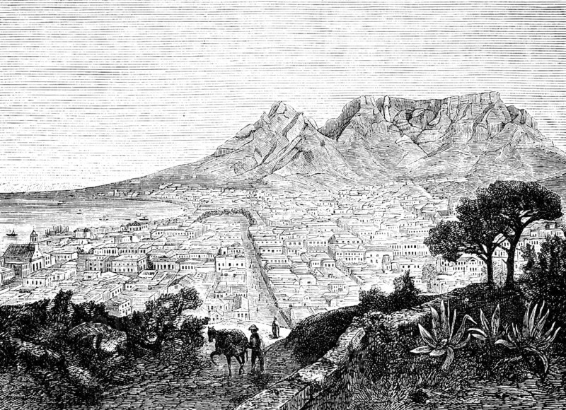 City view of Cape Town with Table Mountain, bay with ships, nature, Algarves, horse, worker, South Africa, historical illustration 1886