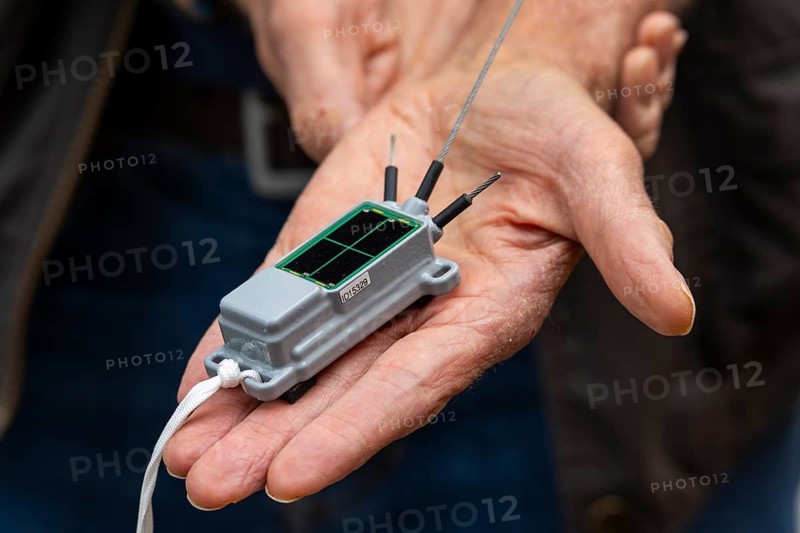A GPS tracking transmitter that fits in the palm of your hand, tagging white storks (Ciconia ciconia) in the Lake Constance region, Baden-Württemberg, Germany