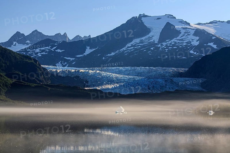 Glacier tongue and glacial lake in front of steep mountains, Mendenhall Glacier, Juneau, Southeast Alaska, Alaska, USA