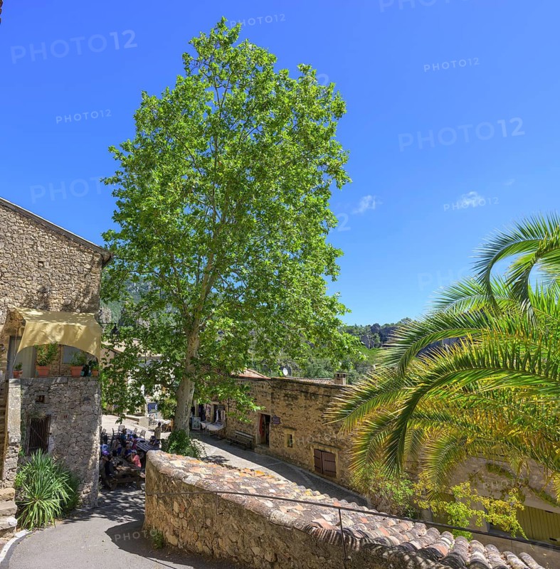 Square and café in the old town centre of Mourèze, Département Hérault, France