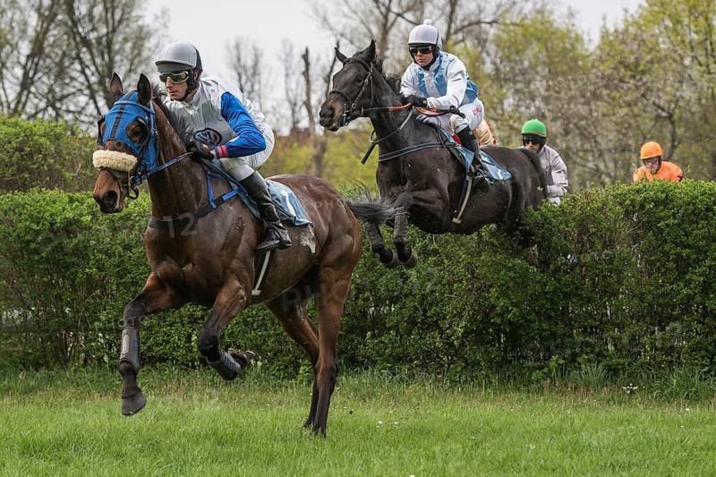 WROCLAW, POLAND - APRIL 15, 2018: International race with obstacles for four years horses at Racecourse WTWK Partynice. The opening day of the season