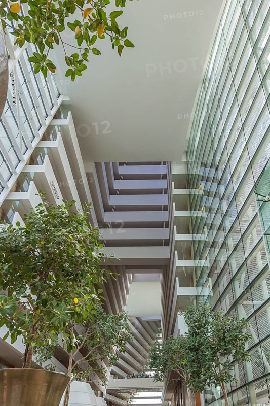 The interior of the shopping center with decorative plants