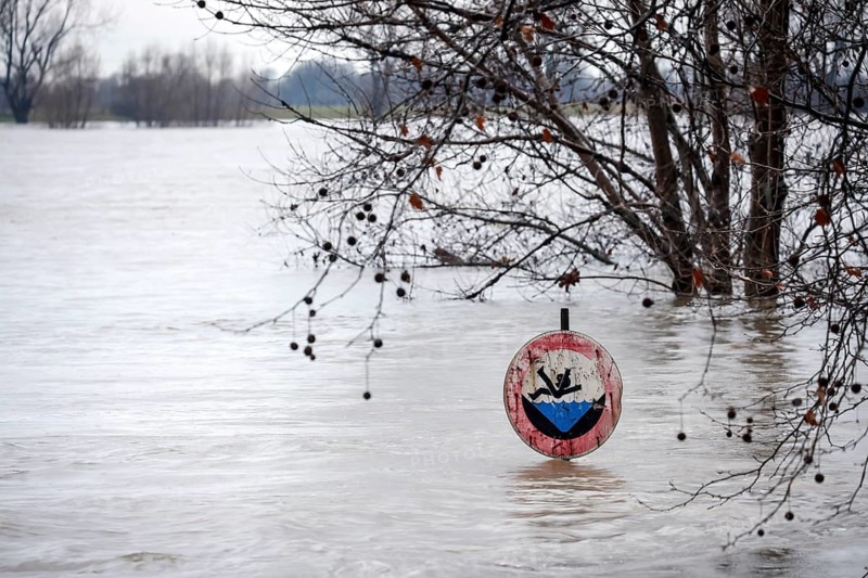 Duisburg, North Rhine-Westphalia, Germany - High water on the Rhine, trees are under water on the dyke in the Marxloh district