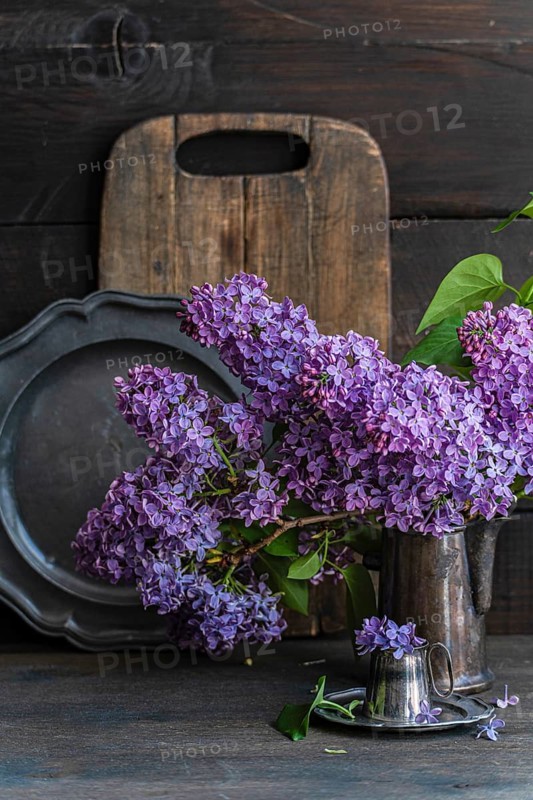 Charming arrangement of lilac flowers in a metal vase against rustic wood. The vibrant purple hues add a touch of vintage elegance to the simple composition
