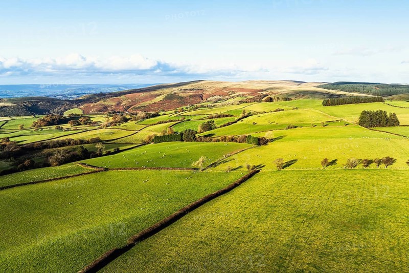 Farms over Black Mountain from a drone, Brecon Beacons National Park, Carmarthenshire, Wales, England, United Kingdom