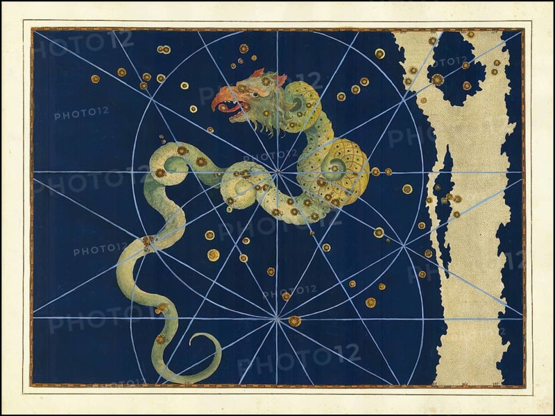 Astronomy. The Celestial Atlas, the Uranometria, Ptolemaic constellations, by Johann Bayer (1572 - 7 March 1625), German astronomer, Draco, the dragon, circumpolar constellation, digitally enhanced reproduction of a historical model