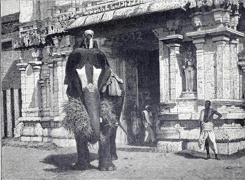 Elephant with rider in front of a temple in northern India, 1890, India, authentic, digitally restored reproduction from a 19th century model, exact date of depiction unknown, historical, An elephant with straw in front of an imposing temple and several people