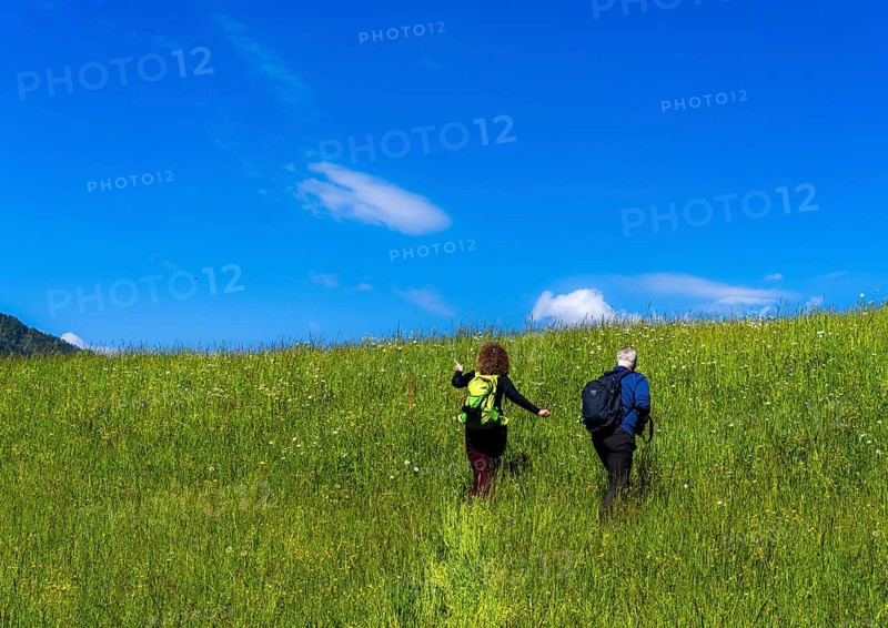 Hiker in a meadow on a mountain, Bad Vigaun, Austria