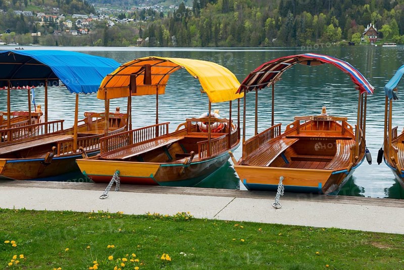 Wooden boats with colourful canopies on the lakeshore, surrounded by forest, Lake Bled, Lake Veldes, Blejsko jezero, Bled, Veldes, Feldes, Upper Carniola region, Gorenjska, Slovenia, Balkans