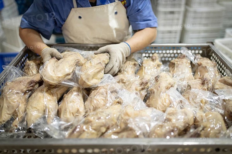 Production of salted ducks in the Nan Jing Ying Tao Yo Co. Ltd. factory, for consumption in restaurants but also for sale as durable products and as souvenirs, the frozen ducks come from the duck farms, are salted, brined, dried and scalded, Nanjing, China