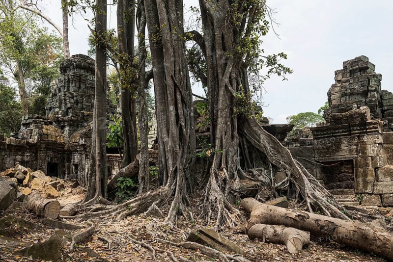 Prea Khan, Angkor Wat, Angkor, UNESCO World Heritage Site, Siem Reap, Cambodia, Indochina, Southeast Asia