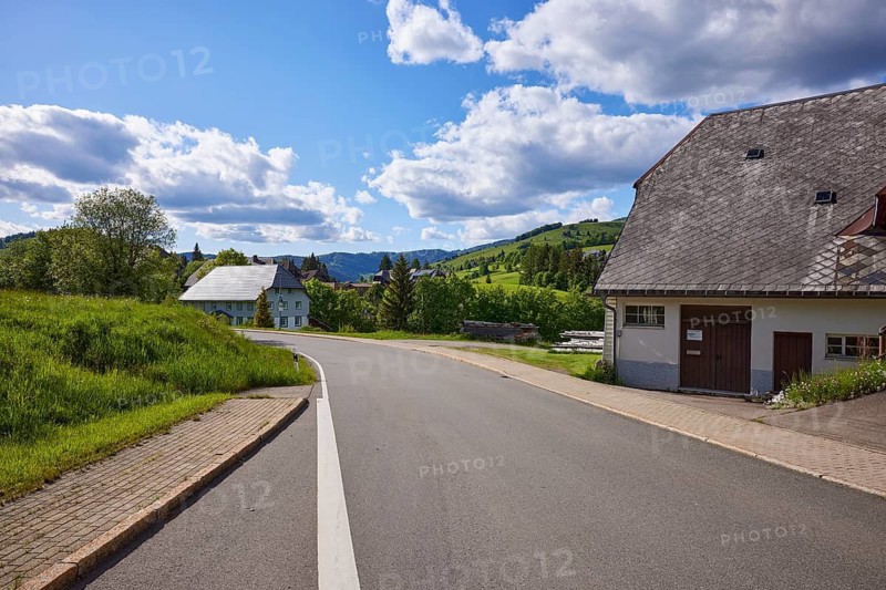 Street and houses with a view of the landscape under a blue sky with cumulus clouds in the Unterlehen district, Bernau im Black Forest, Black Forest, Waldshut district, Baden-Württemberg, Germany