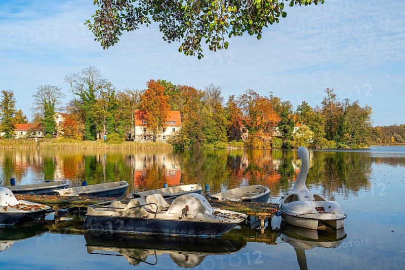 View from a jetty with pedal boats in autumn across the Wutzsee lake to Lindow Monastery, Lindow (Mark), Stechlin-Ruppiner Land nature park Park, Ruppiner Seenland, Brandenburg, Germany