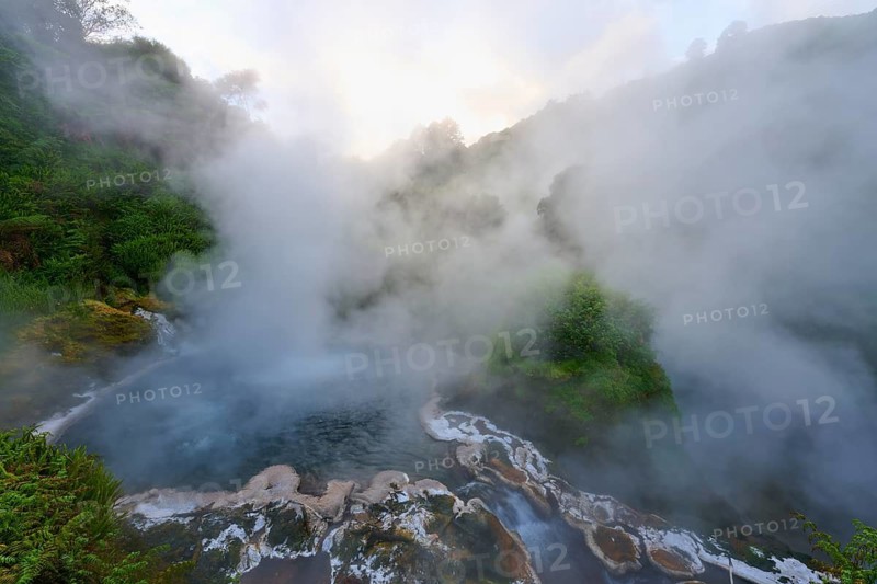 Steaming hot spring surrounded by forest and rocks, Te Manaroa Spring, hot spring, Waikite Valley, Bay of Plenty, North Island, New Zealand