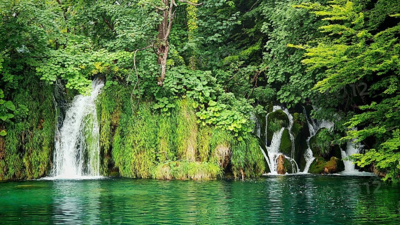 Lively waterfall flanked by moss-covered plants and sparkling water, Plitvice Lakes National Park, Croatia