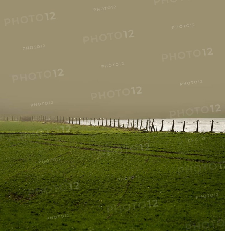 Weser River near Gewissenruh, Wesertal, Weser Uplands, Weserbergland, Hesse, Germany