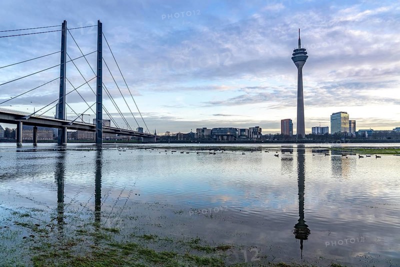View of the Rhine knee bridge over the Rhine near Düsseldorf, from the Rhine meadows in Düsseldorf-Oberkassel, Rhine Tower, North Rhine-Westphalia, Germany